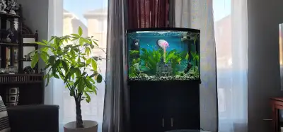 35 gallon fish tank for sale , View more