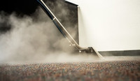 HIRE THE MOST EXPERIENCED CARPET CLEANER IN CALGARY 