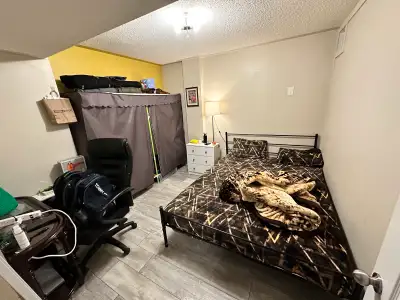 Private room  available for rent