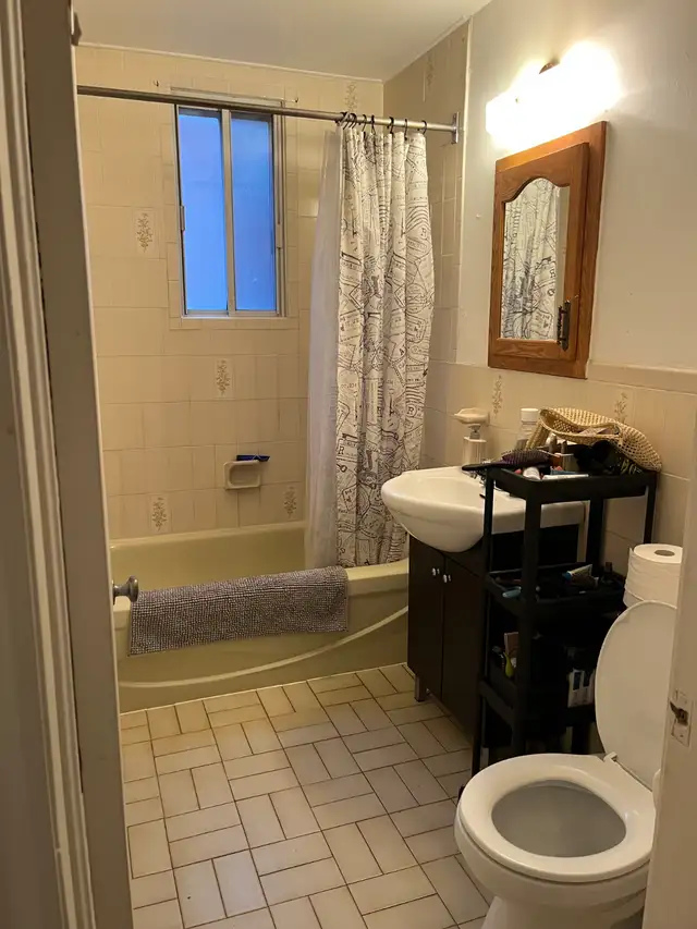 Spacieux 4 et 1/2, Snowdon, DECEMBRE in Long Term Rentals in City of Montréal - Image 7