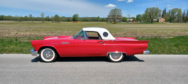 1957 Ford Thunderbird in Classic Cars in Markham / York Region - Image 4