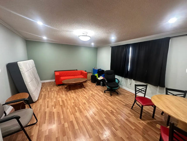 Looking for a roommate