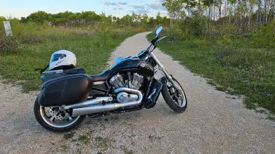 VROD Muscle 2014 - 16,500kms All maintenance up to date & paperwork done through Harley Davidson Win...