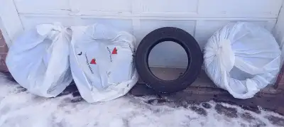 It's a single tire. Appears to be a winter tire based on tread.