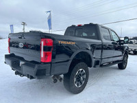 Ford f350 tremor