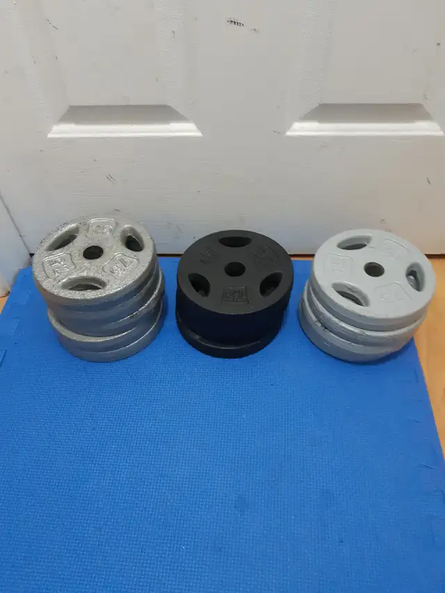 standard weight plates w/ handles ($1.45/lbs) in Exercise Equipment in Delta/Surrey/Langley - Image 4