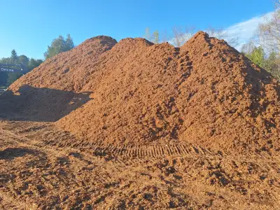 Premium Cedar Mulch. Ground twice for fine mulch. Sold per yard. Delivery available for an additiona...