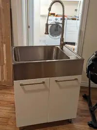 Laundry sink and cabinet