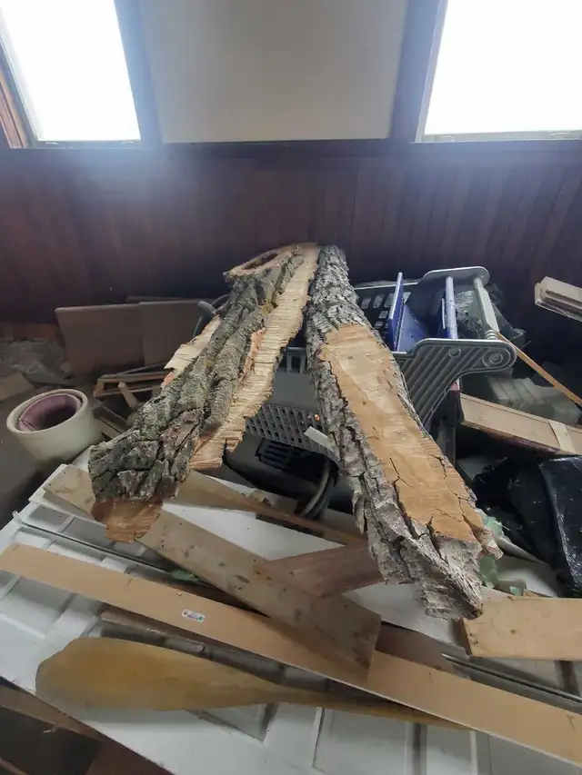 Raw Wood Slabs, Cookies, & Craft Pieces! in Other in Regina - Image 10