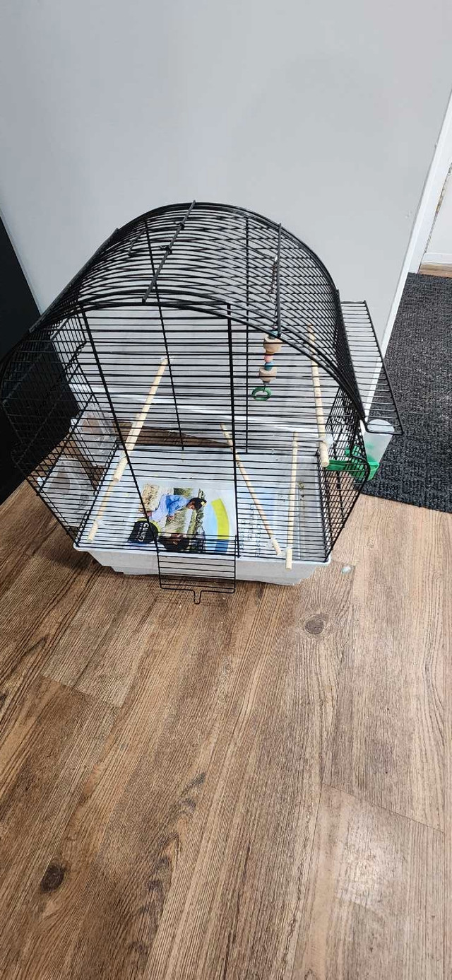 Medium size bird cage in Hobbies & Crafts in Winnipeg - Image 2