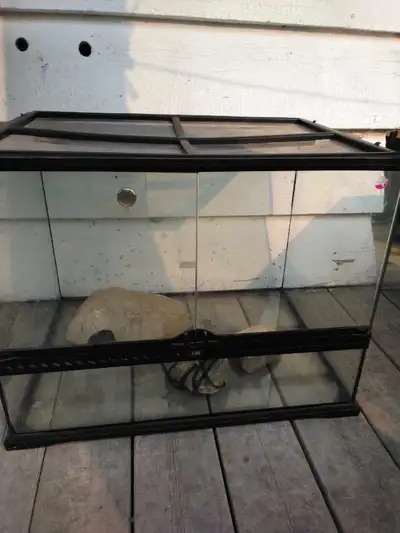 large terrarium with accessories, View more