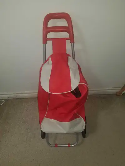 Brand New Shopping Buggy, View more