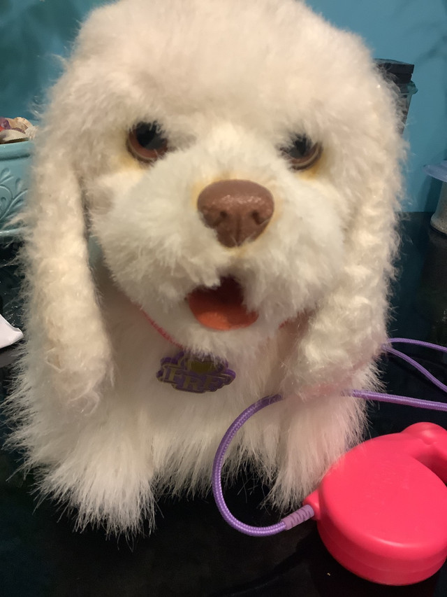GoGo the walking pup, Furreal Friends walking dog for kids Toys