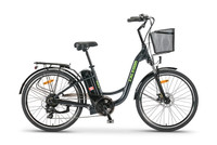 NEW  EBIKE （special offer）