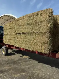 HAY FOR SALE - LARGE SQUARE BALES