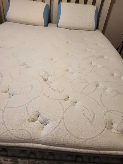 3 year old queen size bed frame, foot board and headboard, from Urban Barn. Includes mattress. Excel...