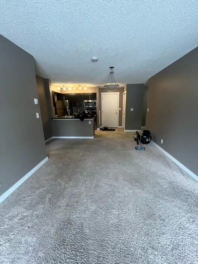 Handyman & Home Renovation Services553848912405473283