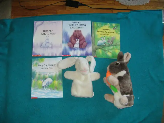 Hopper Book Collection in Other in Norfolk County - Image 2