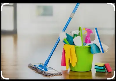 A dedicated girl with three years of hands-on cleaning experience has cleaning business. She brings...