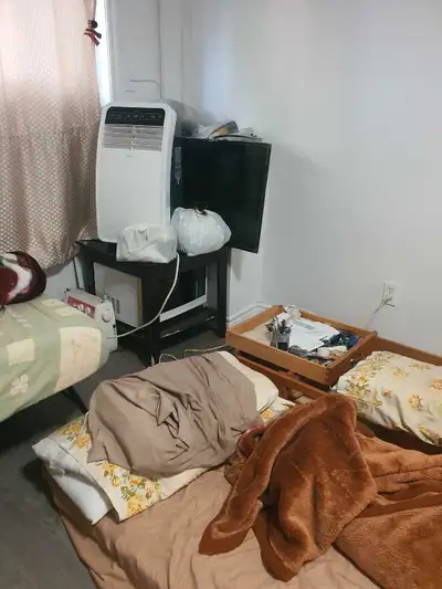 need helpe moveing in montreal, View more
