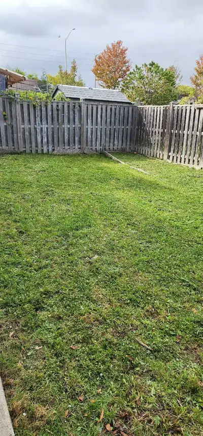 Grass cutting, View more