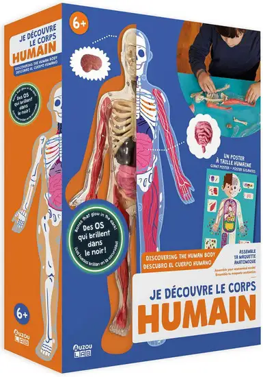 Jeu je découvre le corps humain anatomy body parts toy , View more