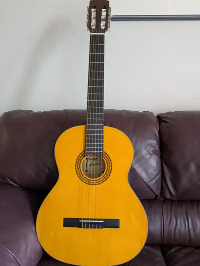 Acoustic Guitar, View more