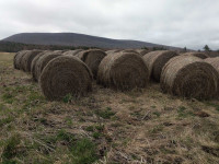 Hay for sale 