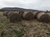Hay for sale 