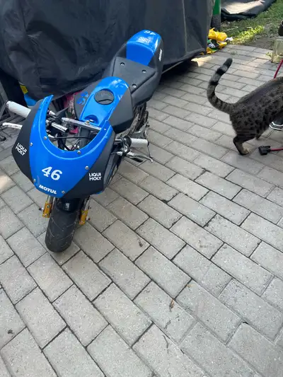 50cc 2 Stroke Pocketbike. Freshly painted with new parts Very fun to ride no issues. Feel free to me...