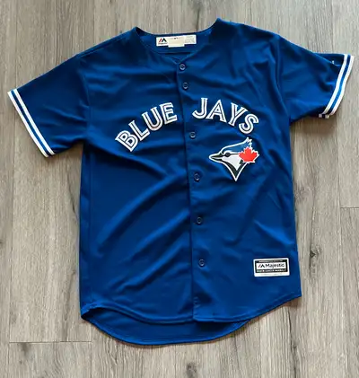 Kids Aaron Sanchez Toronto Blue Jays jersey, View more