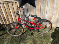 Raleigh Tomahawk women’s bike