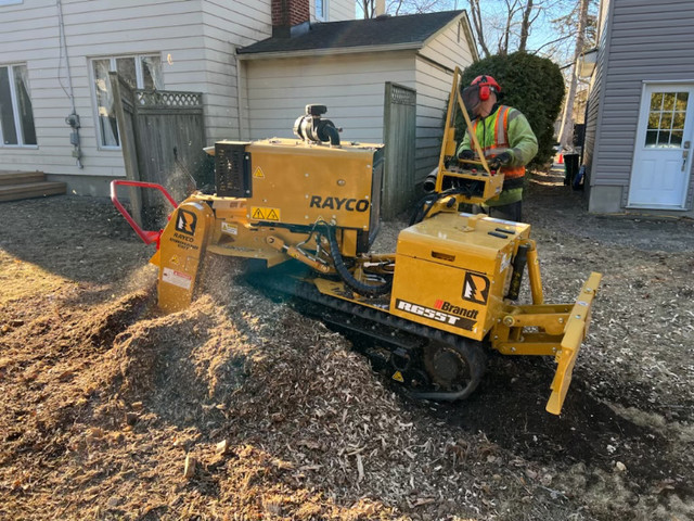 Stump Grinding in Lawn, Tree Maintenance & Eavestrough in Ottawa