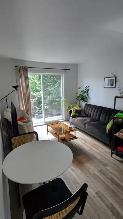 (English version below) Cession de bail — 3½ lumineux, Petite Italie / Beaubien 1480$/mois (Hydro in...