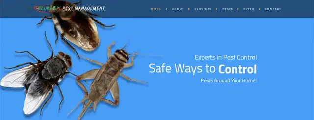 AFFORDABLE 24/7 PEST CONTROL!565170169038120963