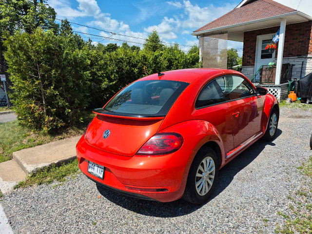 New Beetle Trendline 2017 dans Autos et camions  à Lanaudière - Image 2