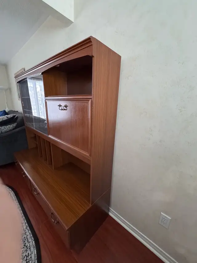 Vintage Style Wall Unit — Mid Century Modern in Bookcases & Shelving Units in Oakville / Halton Region - Image 2