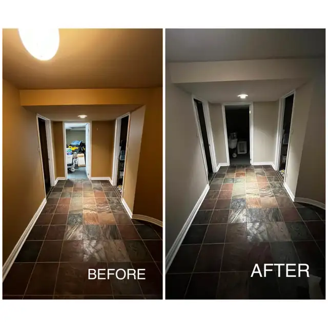 Professional Painter63235170608003123