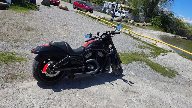 harley-davidson v-rod night in Street, Cruisers & Choppers in Markham / York Region - Image 6
