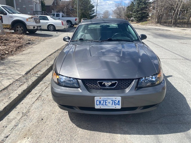 2004 Mustang convertible for sale in Cars & Trucks in Sudbury - Image 2