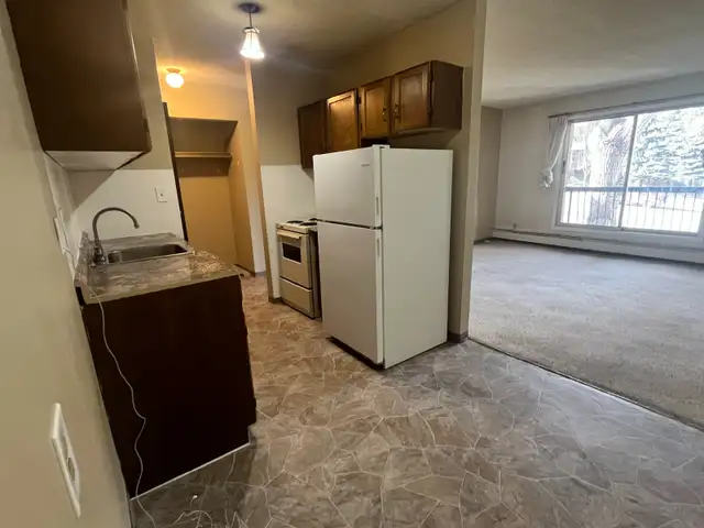 Lower mount royal 1 bedroom apart.balcony $ 1150/m  elect