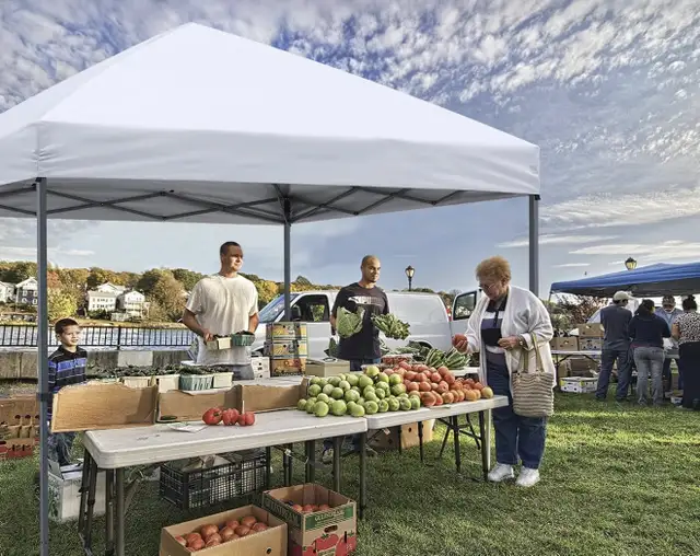 ABCCANOPY Commercial-grade Pop up Canopy, 12X12, White - NEW in BBQs & Outdoor Cooking in Ottawa - Image 2