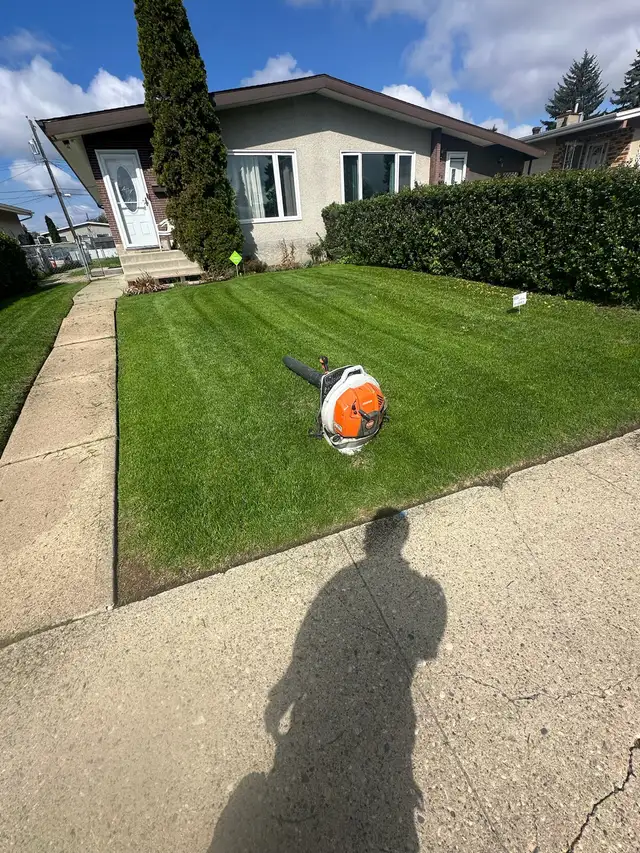 Professional Lawn Care in Lawn, Tree Maintenance & Eavestrough in Edmonton - Image 5