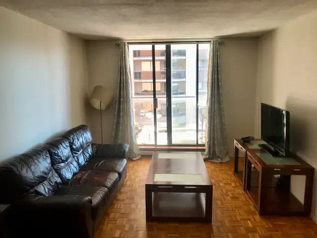 Furnished, Bright and Spacious Downtown Condo
