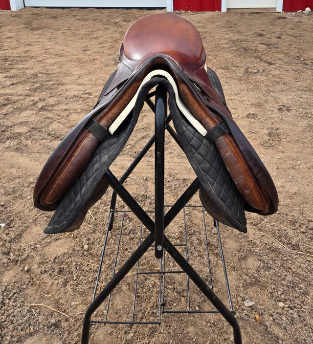 G. Passier & Sohn Hannover Saddle in Equestrian & Livestock Accessories in Regina - Image 4