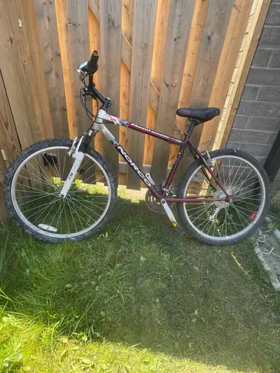 Norco Mountaineer, View more