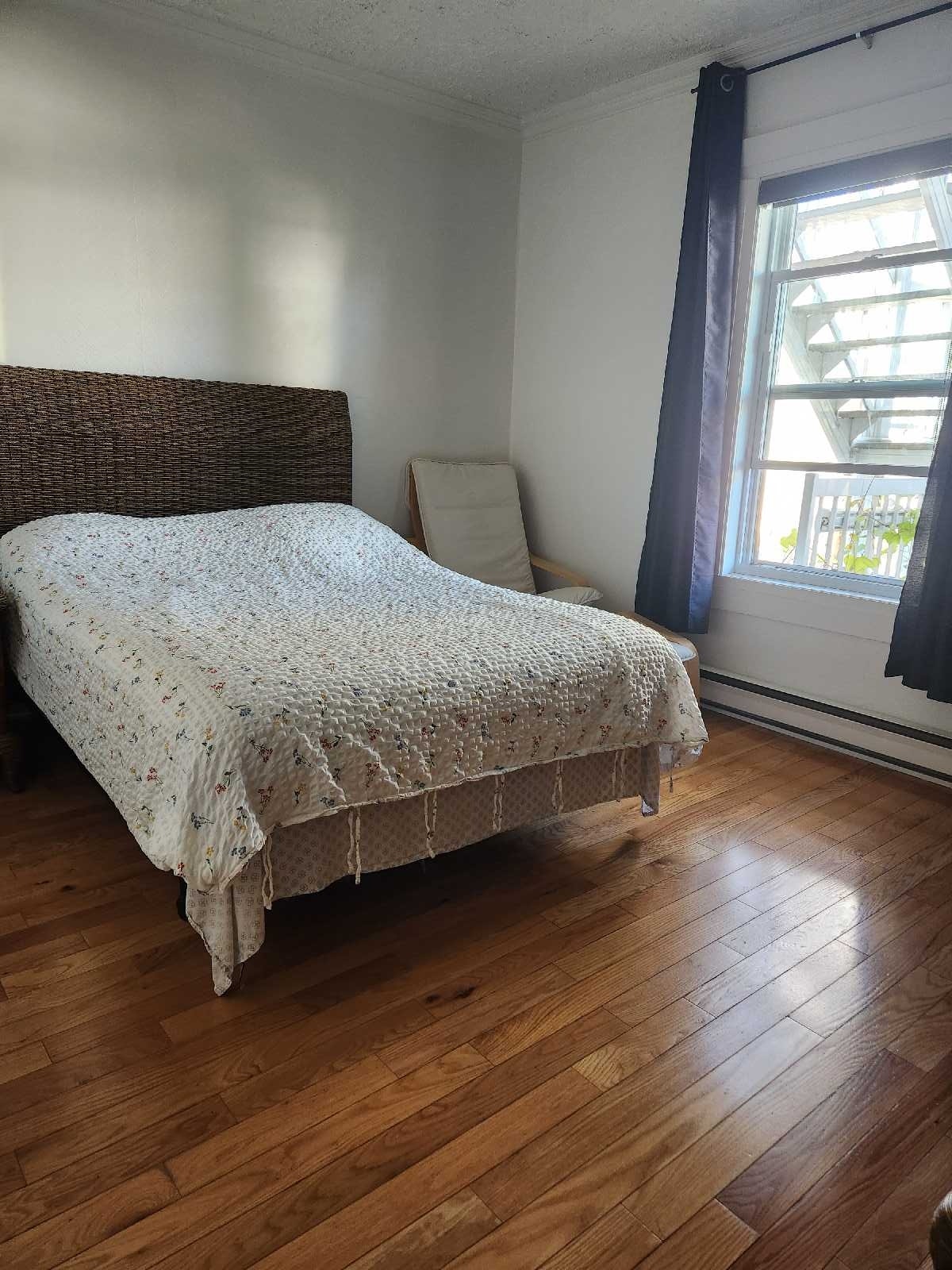 21 Rue de l'Acadie — photo 2