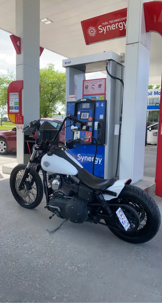 Street bob custom in Street, Cruisers & Choppers in Winnipeg - Image 3