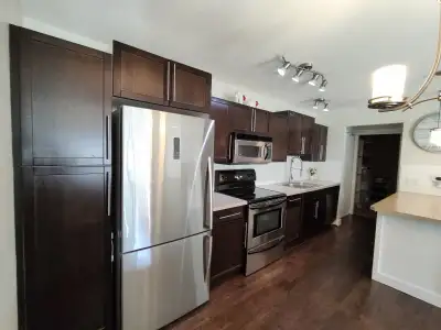 ** Move-in anytime starting September 1 to October 1, 2026. Move-in date flexible ** CENTRAL CONDO F...