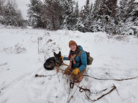 Dog Training - Search-and-rescue Tracking